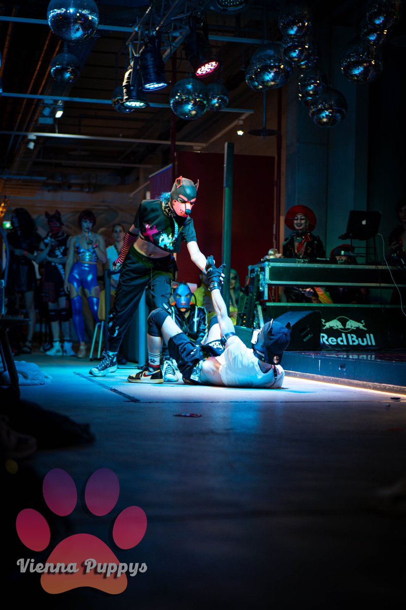 „This is me“ Performance Pictures 😋🐾