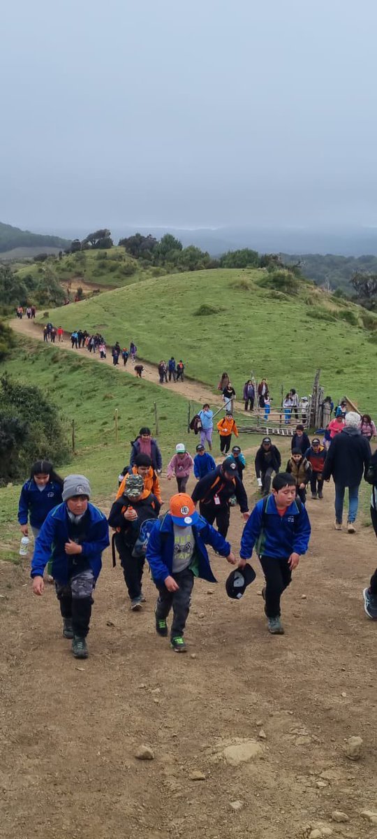 Corpocas's tweet photo. 🏃🏽♀️🏃🏾Los estudiantes de nuestras escuelas rurales unidocecentes y bidocentes de la Península de #Rilán, #LaChacra, #Piruquina y nuestras islas de #Quehui y #Chelín se reunieron para hacer #trekking hacia el Muelle de Las Almas. https://t.co/bwGVhGJQMC