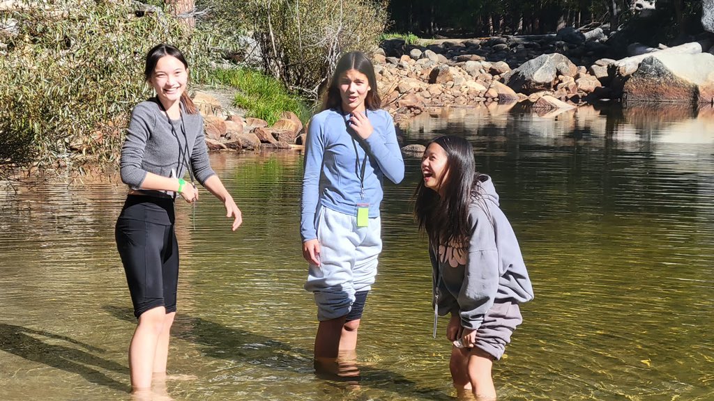 Egan Vikings tweet media