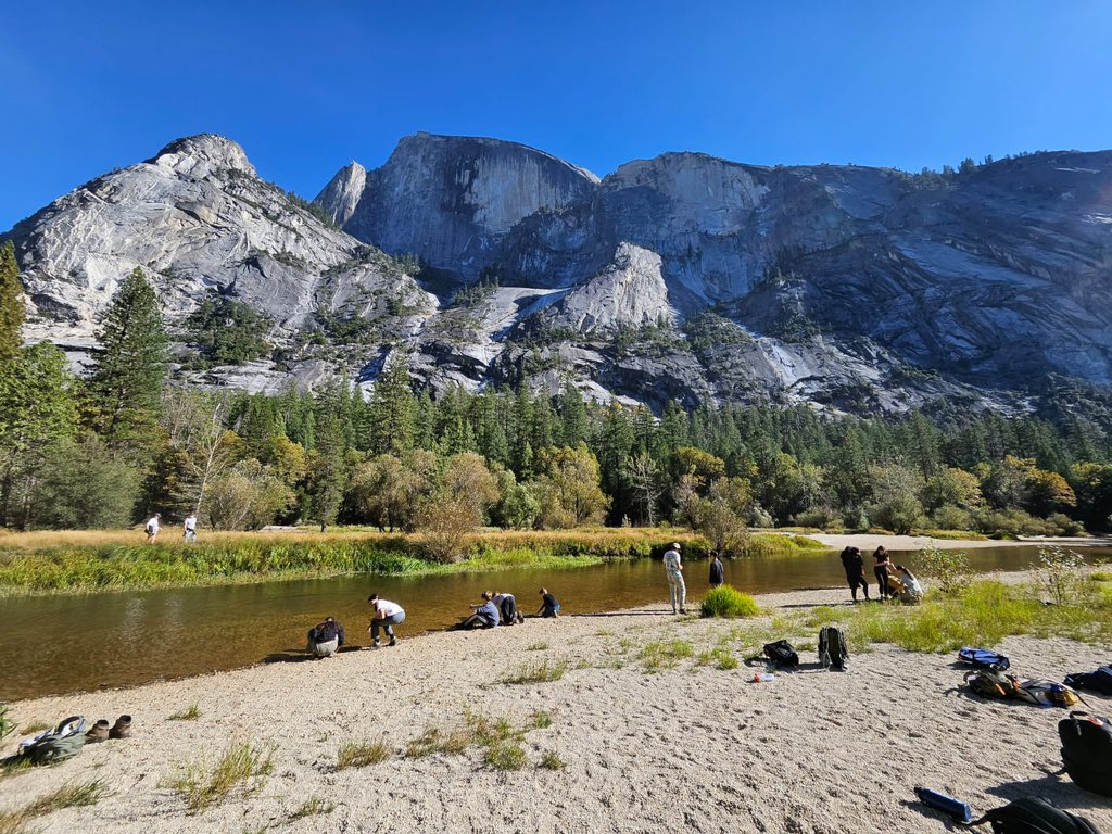 Egan Vikings tweet media