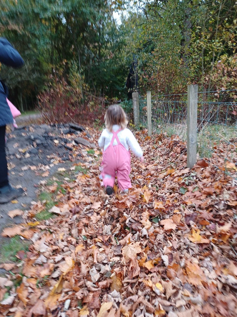 North Ayrshire Ranger Service (@rangers_na) on Twitter photo We had great fun making autumn leaf bouquets this afternoon, after a story about a leaf hunt from <a href="/NACLibraries/">North Ayrshire Libraries</a> ππ
Thanks to all who came along!
#ForestFunNA #GetOutside #GreenHealth #ConnectWithNature We had great fun making autumn leaf bouquets this afternoon, after a story about a leaf hunt from <a href="/NACLibraries/">North Ayrshire Libraries</a> ππ
Thanks to all who came along!
#ForestFunNA #GetOutside #GreenHealth #ConnectWithNature