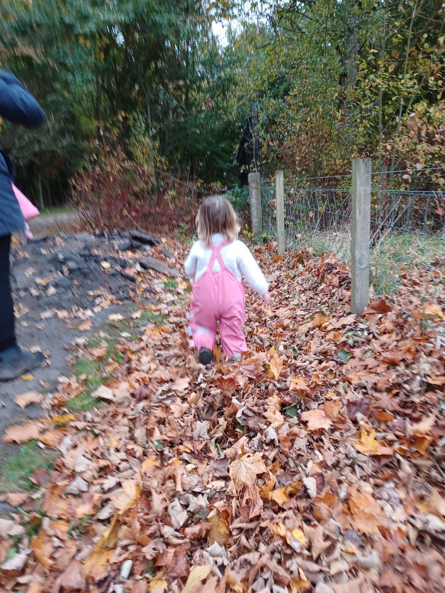 We had great fun making autumn leaf bouquets this afternoon, after a story about a leaf hunt from @NACLibraries 🍁🍂 Thanks to all who came along! #ForestFunNA #GetOutside #GreenHealth #ConnectWithNature