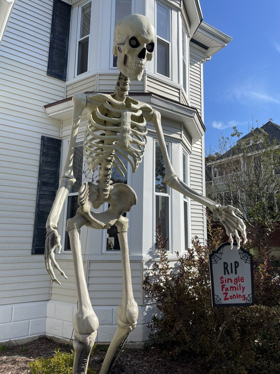 Josh McCabe tweet media