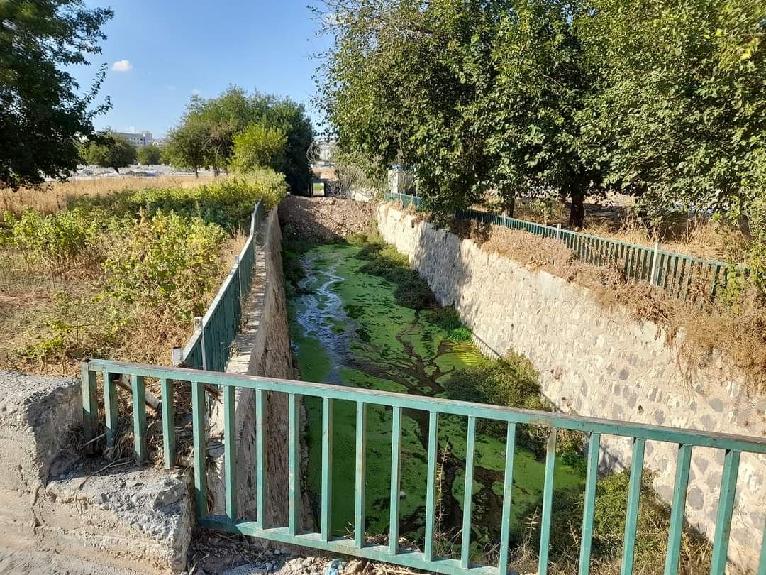 Evet yanlış görmüyorsunuz burası
#Urfa
Şehir merkezinden geçen Cavsak Deresinin  hali...
Nevali çıkışı ve eski sanayi cıvarı
Sel felaketi unutuldu değilmi 

<a href="/bybekirbozdag/">Bekir  Bozdağ</a> <a href="/MTanal/">Av.Mahmut TANAL</a> 
<a href="/Akparti/">AK Parti</a> 
#sanlıurfa