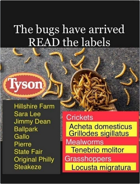 NdearingNduring's tweet photo. READ THE LABELS.
The B🪲U🐛G🪳S are here. Here's a short list brand names to get you off to a good start on which ones to abandon. TOO MANY other choices out there to choose from these days. #DefyToComply with ANY leftist agendas~ https://t.co/x46lJYRYEn