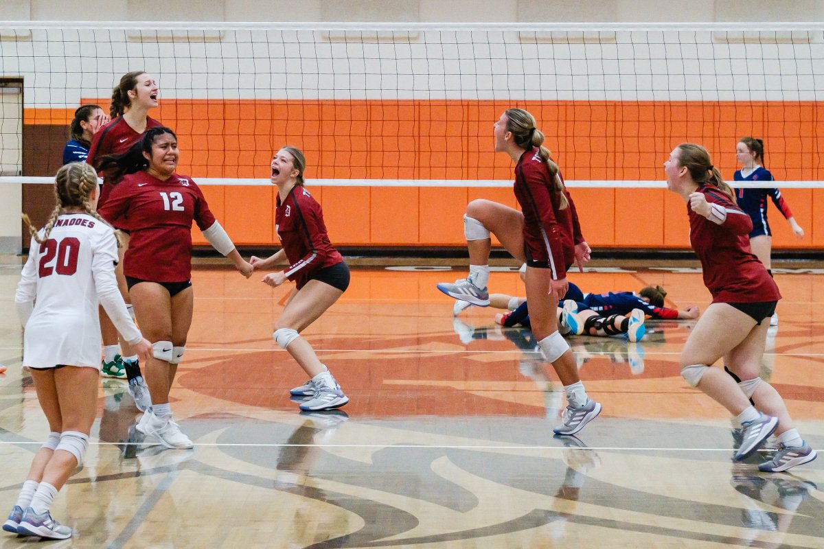 Andrew Dolph tweet media