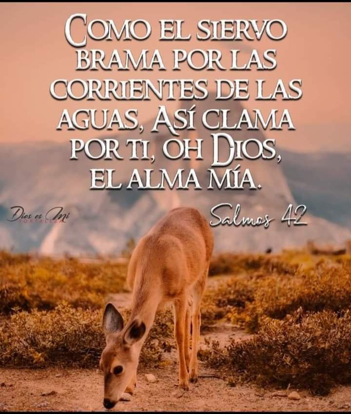 Julissa10014645's tweet photo. Así mi alma 🙌😌😌 https://t.co/sPvmcjXWA9