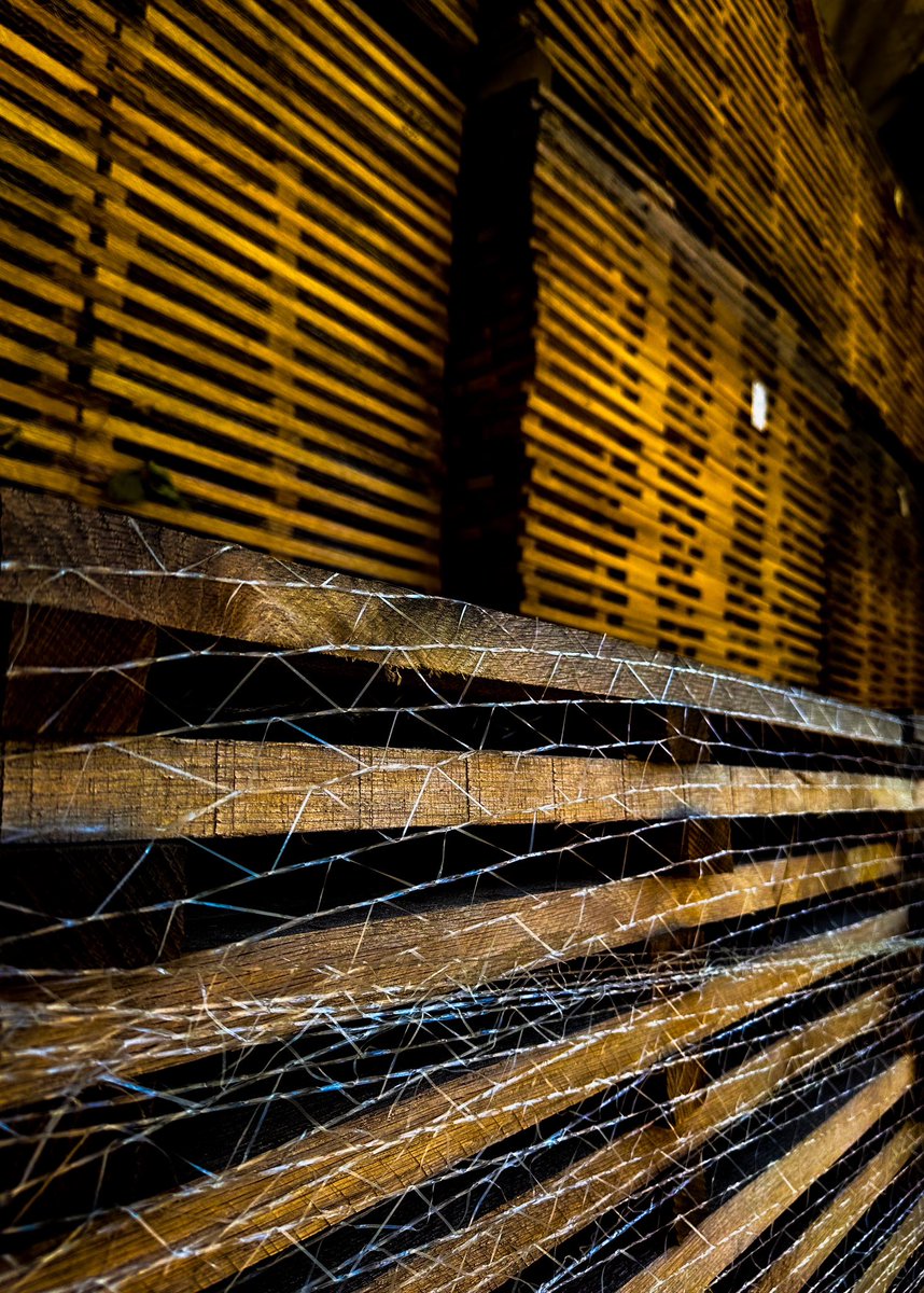 SSStave's tweet image. Stacks on stacks on stacks…

We are working hard to get your next drink ready.

#bourbon #barrels #wine #staves