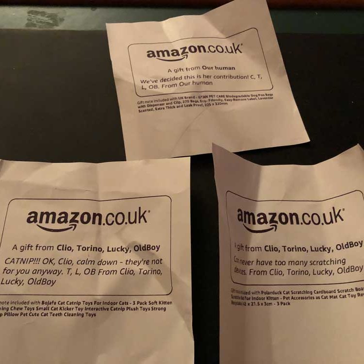 Thankyou, wonderful <a href="/mogs_at_28/">The mogs at No. 28</a> for your generous wishlist donations. It's obvious which ones were chosen by the mogs and which one was a thoughtful practical choice by their human😹 We appreciate your continued support ❤️