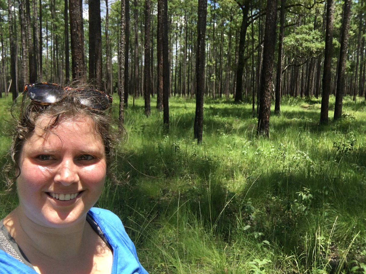 It’s finally out &amp; open access - my first first author publication! 

So many #beetles and sweaty days in the field, plus lots of support from others led to this:

sciencedirect.com/science/articl…

<a href="/Treewater229/">Brantley Ecohydrology Lab</a> <a href="/thejonesctr/">The Jones Center at Ichauway</a> <a href="/bughuntertom/">Tom Sheehan</a> <a href="/alexeander/">The Big Bad Boulder</a> &amp; so many non-twitter folks!