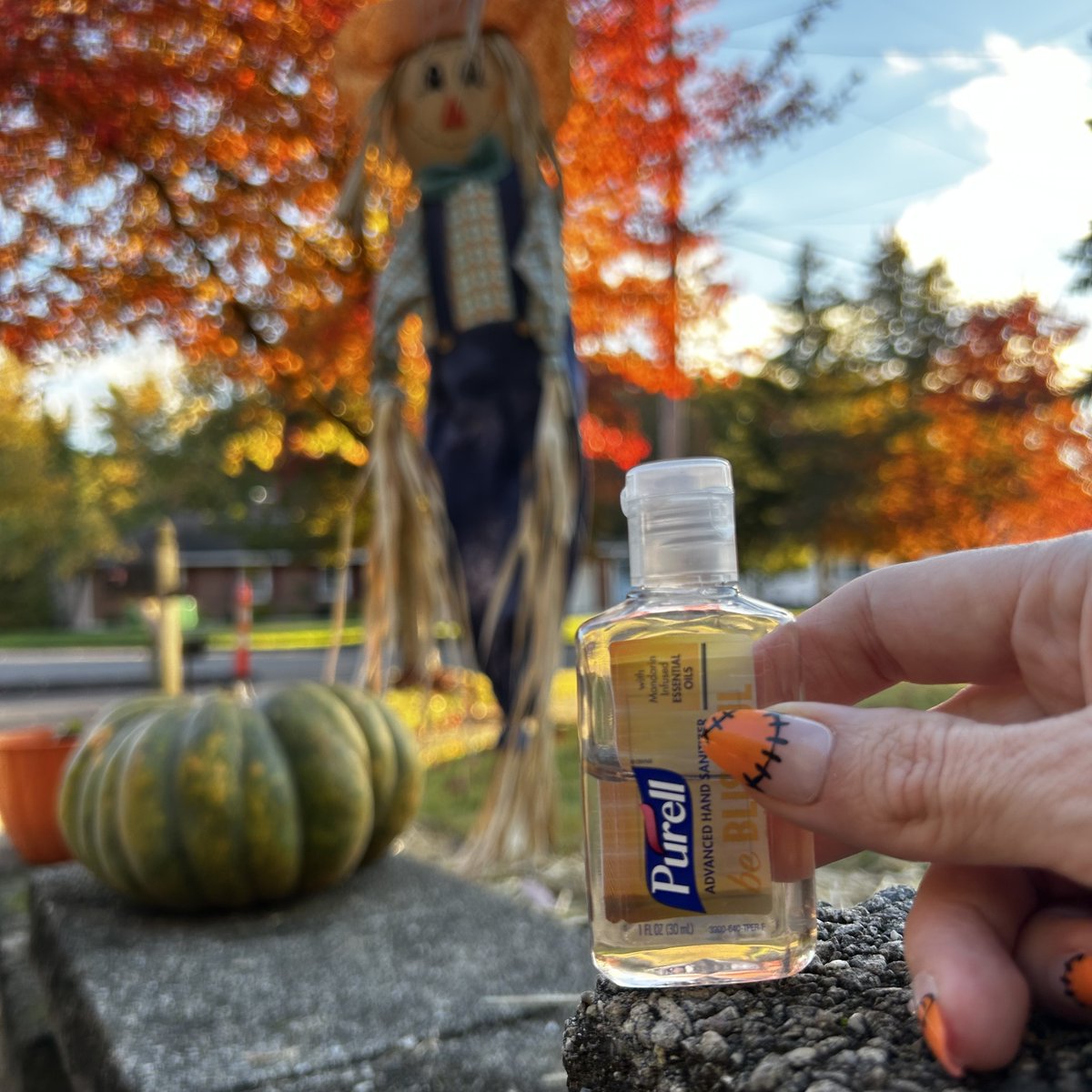 PURELL Hand Sanitizer. Scaring germs since 1988.