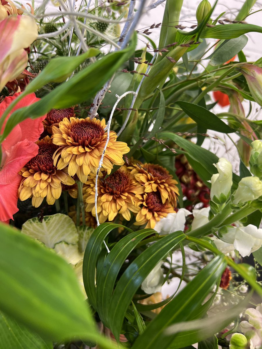 evolveflowers tweet media
