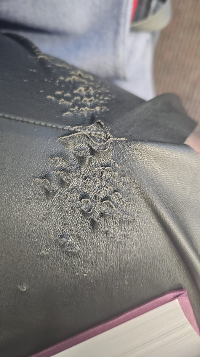 Naomi Sayers tweet media