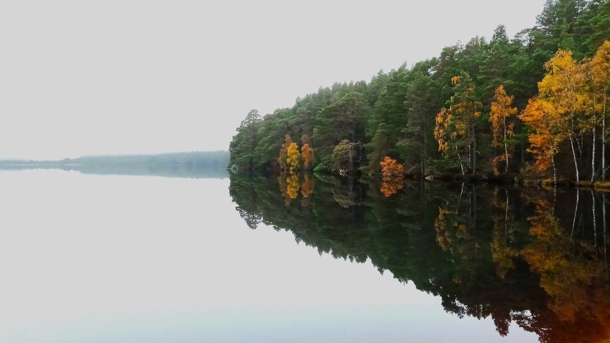 PeteCrane5's tweet photo. Passed by the beautifully tranquil, soothing #LochGarten in the #Cairngorms this lunchtime on my #CycleFromHome.... calming. https://t.co/ffQqupmjp3