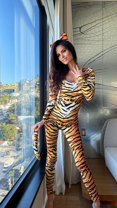 Tiger or Snow White? 🐅🍏 https://t.co/PD5ghmCmM8<a href="/tag/bikini"class="tags"><span>#bikini</span></a><a href="/tag/workout"class="tags"><span>#workout</span></a><a href="/tag/fitnessjourney"class="tags"><span>#fitnessjourney</span></a><a href="/tag/fridaymorni"class="tags"><span>#fridaymorni</span></a>