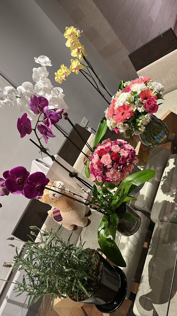 bien rmotzas mis amigas ❤️‍🩹🫶🏻