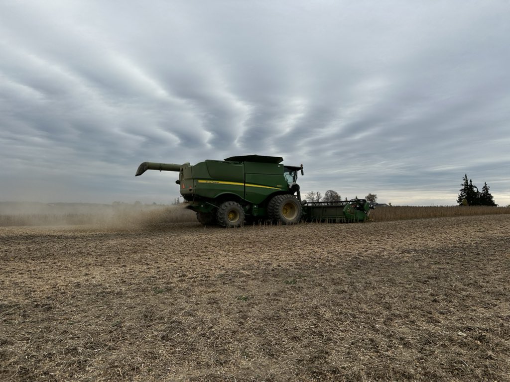 JamesRECC's tweet photo. Beautiful day to be taking off a @DEKALB_Canada and @NKSeedsCanada test plot in Canfield, even though I did get shown up loading the wagon #tryagainnexttime https://t.co/BNAyaz58Xq