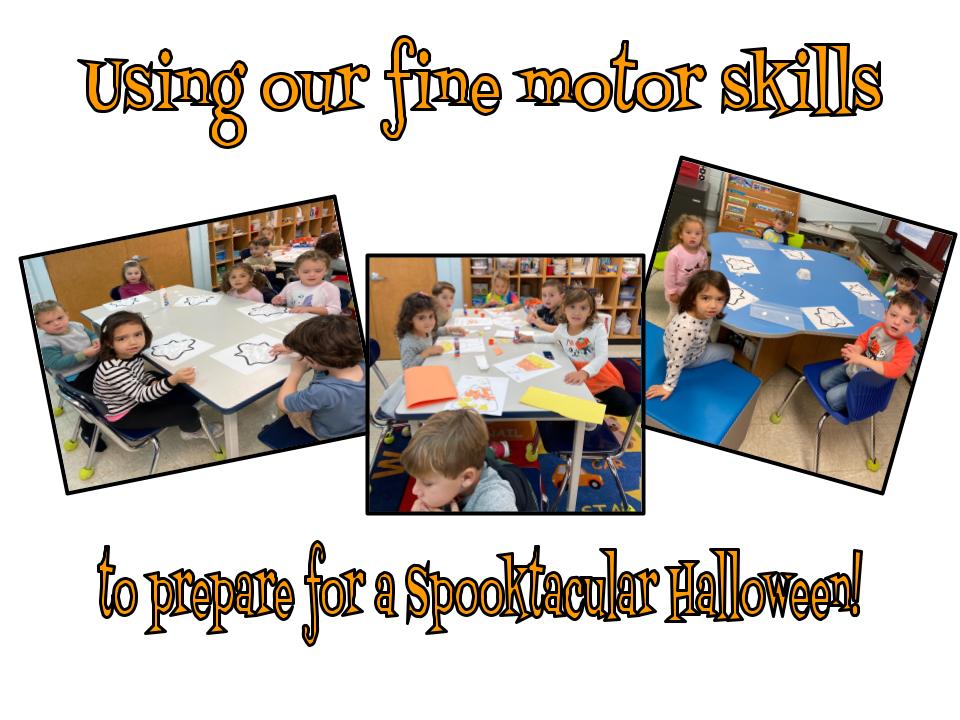 dina lopiccolo tweet media