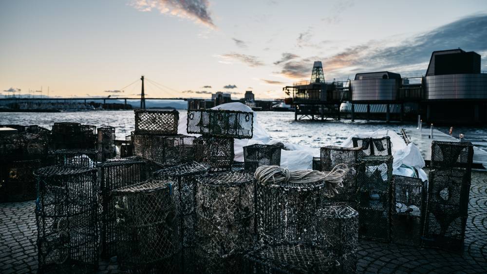 Today, we were featured on Norwegian radio discussing our system. Despite Norway's current efforts, lost fishing gear accumulation still challenges us. Here is an article from today about clean-up operations:  ow.ly/GNnJ50Q0JLh
📸 Øystein Otterdal/NRK