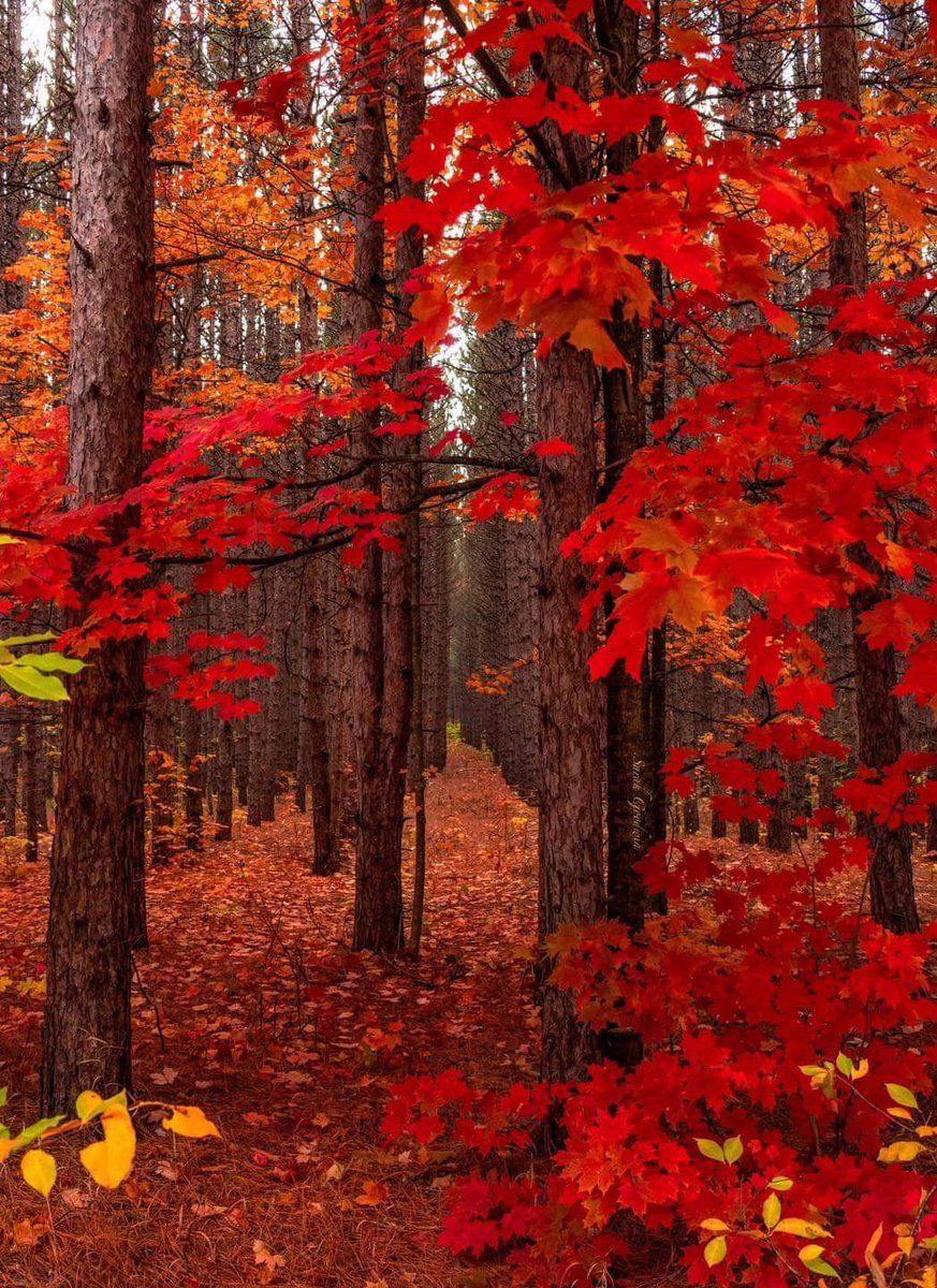 JackRockAutumn's tweet photo. Go where your heart feels happy🍁 https://t.co/EINNrbWVAj