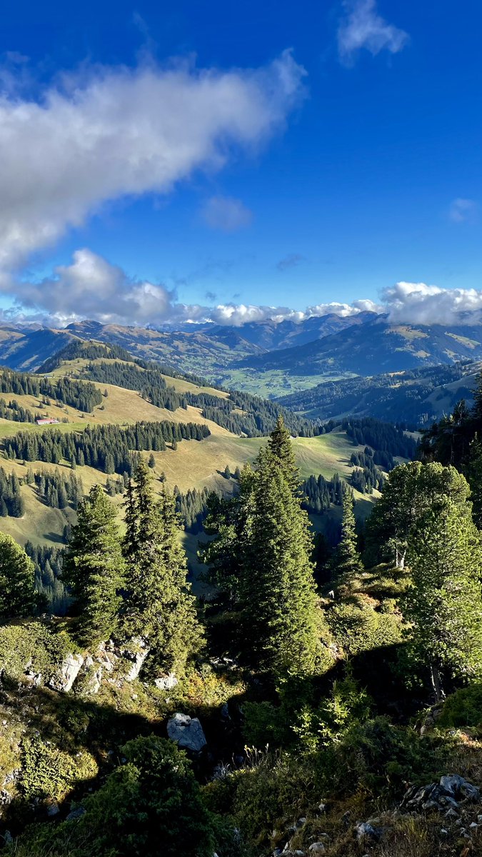 leetschi's tweet photo. #gummfluh #hikingadventures #hiking i am a hiker 🥾🏔️❤️ https://t.co/KEx7MVLHLf