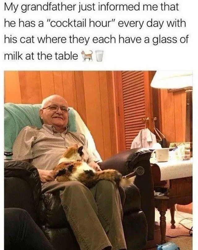 WholesomeMeme's tweet photo. https://t.co/Lcxp4nrENr