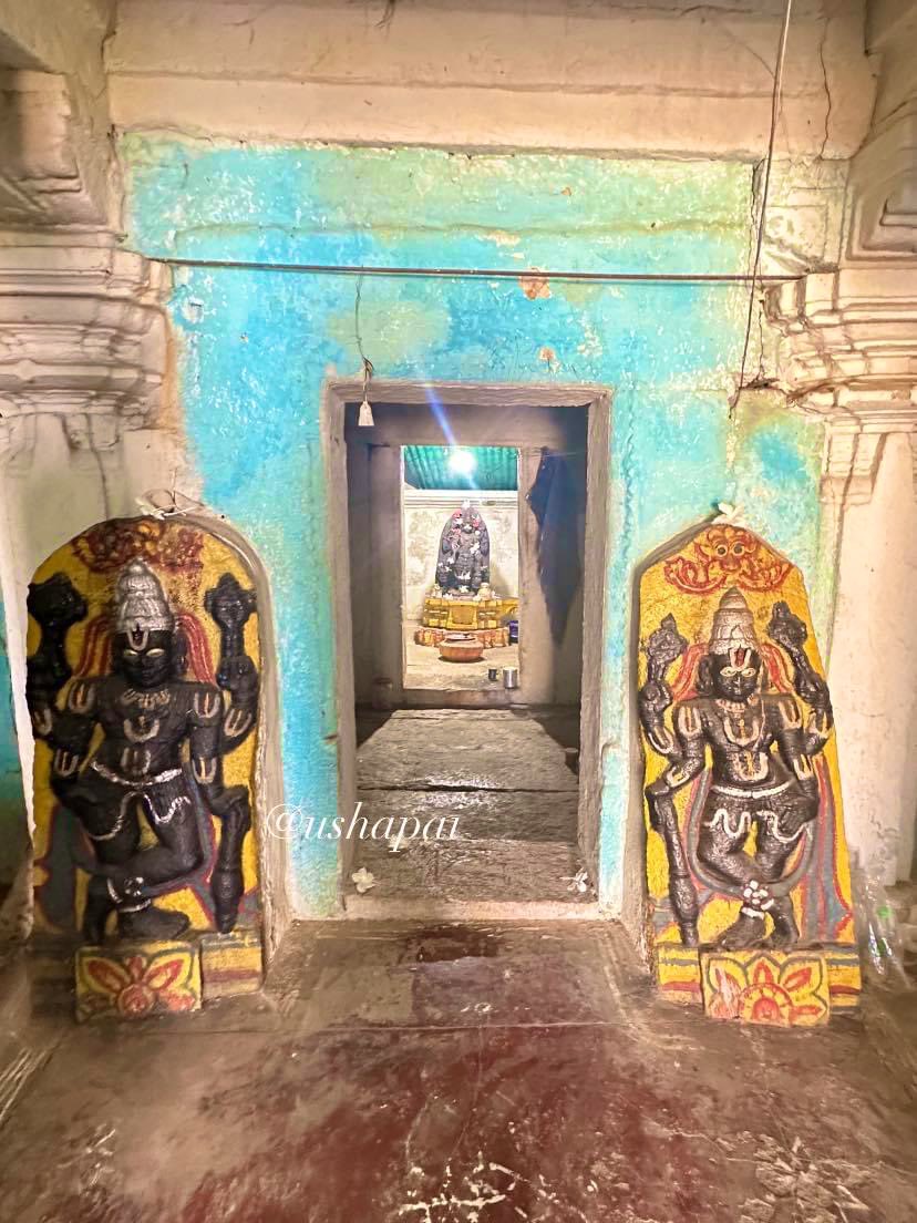 Ushapai19's tweet photo. DegulaDarshana:1110
#ChennaKeshavaTemple #Beguru #Tumkur
Leaking roof, Collapsing walls, grazing animals and one majestic ChennaKeshava.This is the sorry state of this Hoysala abode.Who is responsible for this? Doesn’t he deserve better?
@punarutthana @manipalblog https://t.co/peQjF3jiup