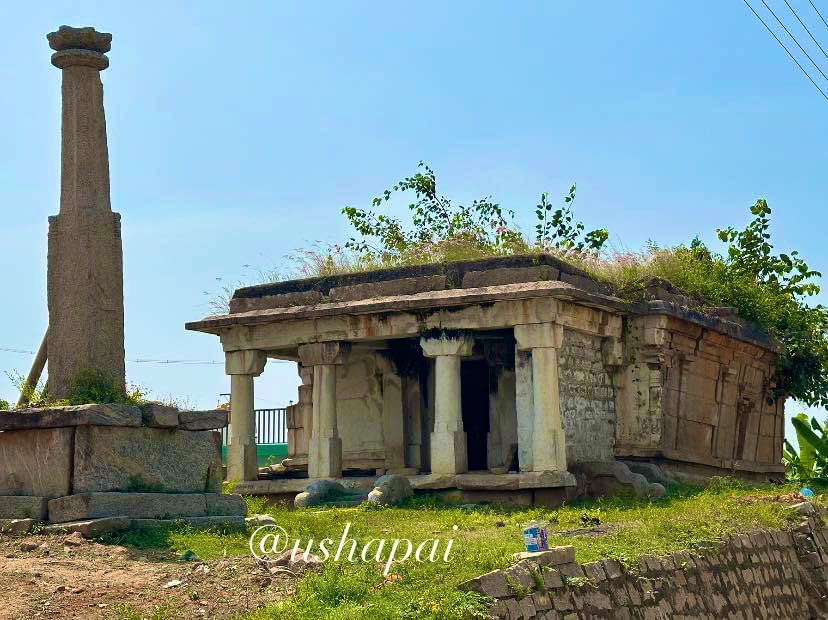 DegulaDarshana:1110
#ChennaKeshavaTemple  #Beguru #Tumkur 
Leaking roof, Collapsing walls, grazing animals and one majestic ChennaKeshava.This is the sorry state of this Hoysala abode.Who is responsible for this? Doesn’t he deserve better?
<a href="/punarutthana/">भारत पुनरुत्थान - श्रीराम श्रीकृष्ण #शिवशक्ती</a> <a href="/manipalblog/">ManipalBlog</a>