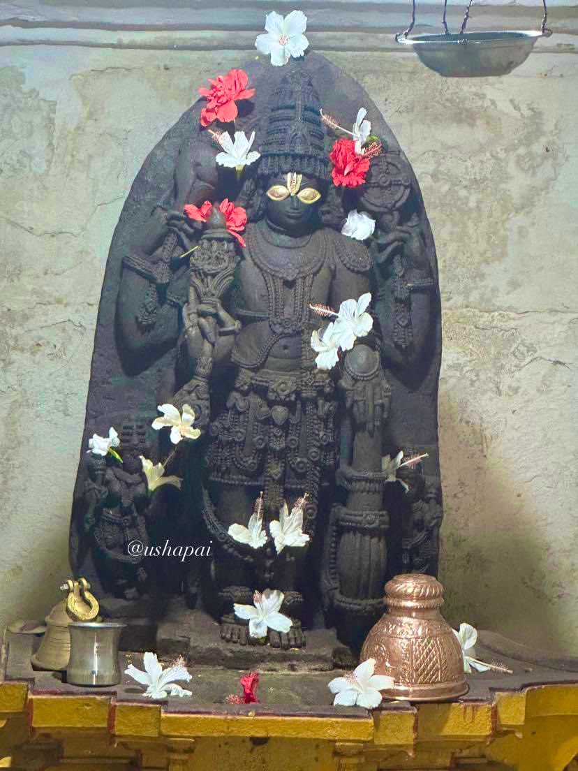 Ushapai19's tweet photo. DegulaDarshana:1110
#ChennaKeshavaTemple #Beguru #Tumkur
Leaking roof, Collapsing walls, grazing animals and one majestic ChennaKeshava.This is the sorry state of this Hoysala abode.Who is responsible for this? Doesn’t he deserve better?
@punarutthana @manipalblog https://t.co/peQjF3jiup