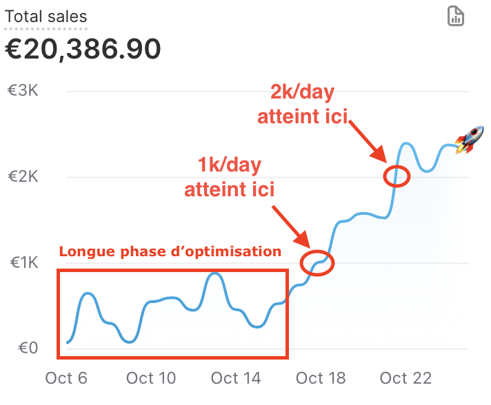 +20 000€ en moins de 17 jours. (et Toujours en cours de scalling)

- Ce post a pour objectif de montrer que le Ecom n'est plus aussi simple comme avant.

- J'ai mis environ 12 jours avant d'atteindre la barre des 1K/day sur cette boutique pour ensuite stabiliser à 2k/day.

 -