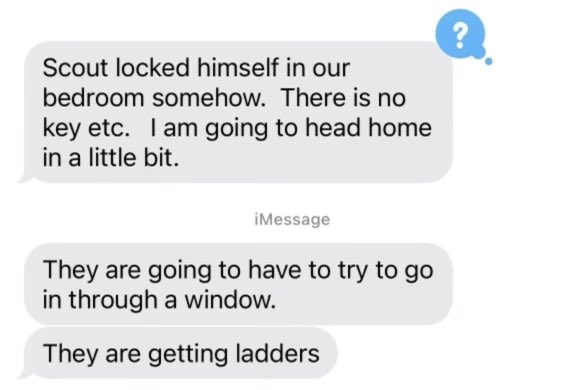 Governor Tim Walz tweet media