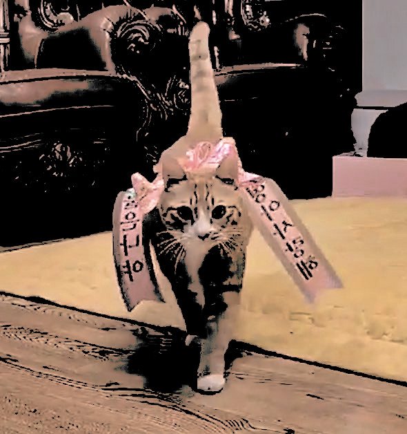 ㅤ
         that's  all  he  could  have  wished  for  .  spending  his  birthday  in  a  less  crowded  environment  .  just  him  and  his  angels  at  that .
ㅤ