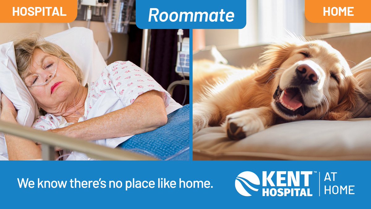 Why share a hospital room with a stranger when you can be home with your furry best friend? Kent Hospital at Home can make that happen. Learn more: hubs.ly/Q026pV870. #HospitalAtHome #HospitalAtHomeRI @ahahospitals