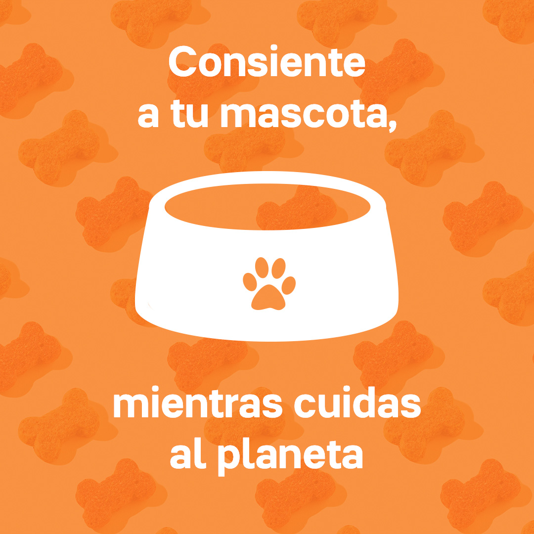 MXTupperware's tweet photo. Mantendrás lejos la humedad de sus premios y tu mascota te lo agradecerá. 🐶😻
#EnMiTupperwarePorFa https://t.co/pVuXcWRt8v