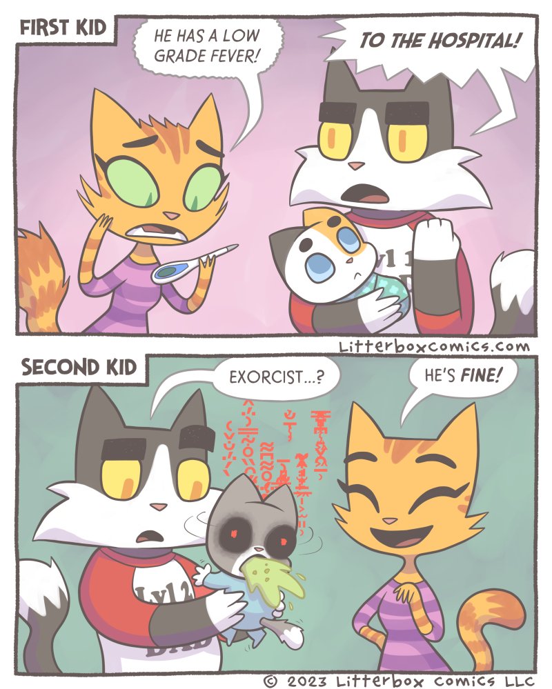 F9Td-xuXcAAc1Fj?format=jpg&name=medium