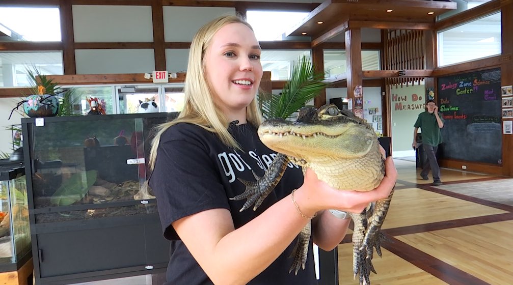 Andie Bernhardt (@andiebernhardt) on Twitter photo Attempting to handle some huge reptiles on this weeks ‘A Day in the Life’ with <a href="/zoologyzonewv/">Zoology Zone Science Center</a>! 🐊
Snake 1 Andie 0
Be sure to tune in tonight at 7:00 p.m. Attempting to handle some huge reptiles on this weeks ‘A Day in the Life’ with <a href="/zoologyzonewv/">Zoology Zone Science Center</a>! 🐊
Snake 1 Andie 0
Be sure to tune in tonight at 7:00 p.m.