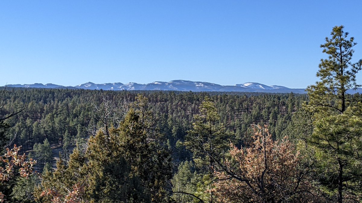 "A variety of partners have come to the table to help increase the pace and scale of restoration work that can be accomplished over the next few years, especially on those lands not expected to be restored on their own."

Read more: continentaldividetrail.org/news/on-the-ro…