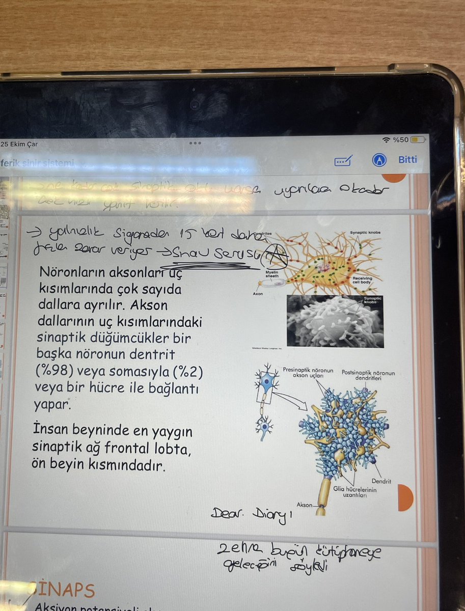 bugün küboşa tableti verdim not tutsun diye  sanırım biraz kafası karışmış yavrumun