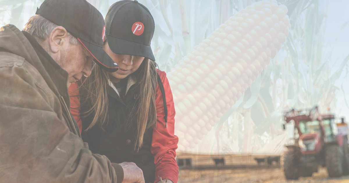 PRIDESeeds's tweet photo. 🌾We're thrilled to announce our new distribution network in Western Canada. PRIDE Seeds will now work directly and exclusively with dealers in Alberta, Saskatchewan, and Manitoba.

To read the full press release, visit: https://t.co/BZFbfJnVLg

#WesternCanada #GrowersFirst https://t.co/drZXWLXqlG