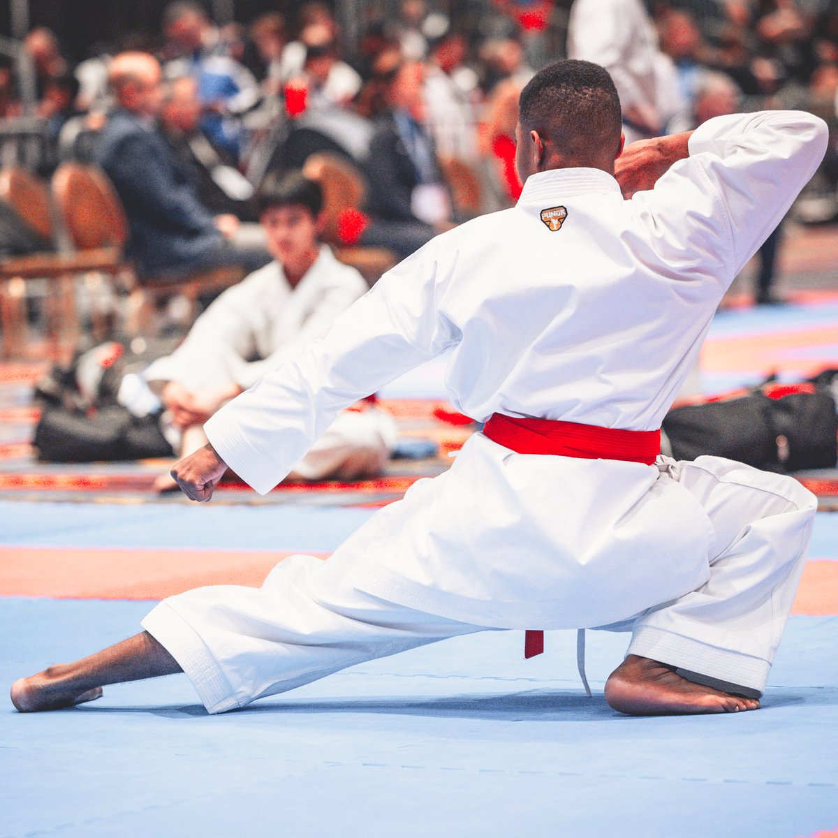 centuryma's tweet photo. Happy World Karate Day. 🥋❤️
.
.
.
.
#worldkarateday #centurymartialarts #martialarts #karate #punok #karateday #martialartist #martialartsmotivation #martialartsinspiration https://t.co/lJN9TXWJzn