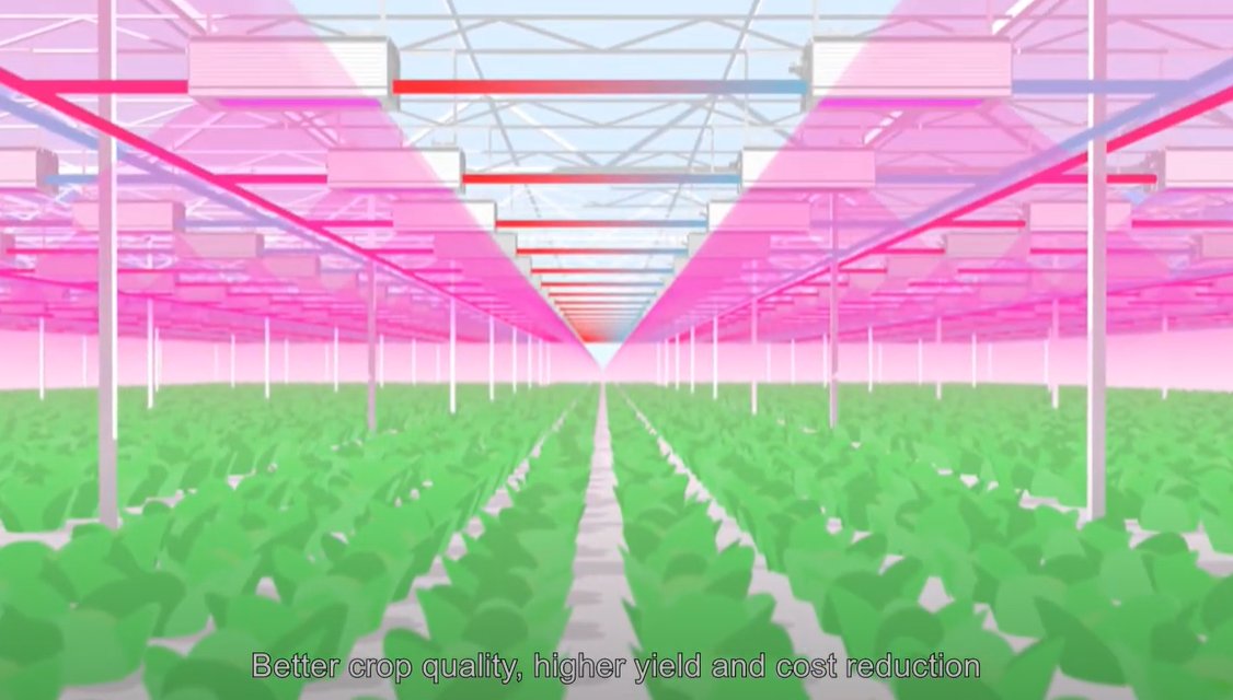 Curious how our unique water cooling technology works? Click on the link to see the video! youtu.be/H5AsMpva19I?si… 

#Oreon #LEDLIGHTGROW #ledgrowlights #efficiency #greenhouse