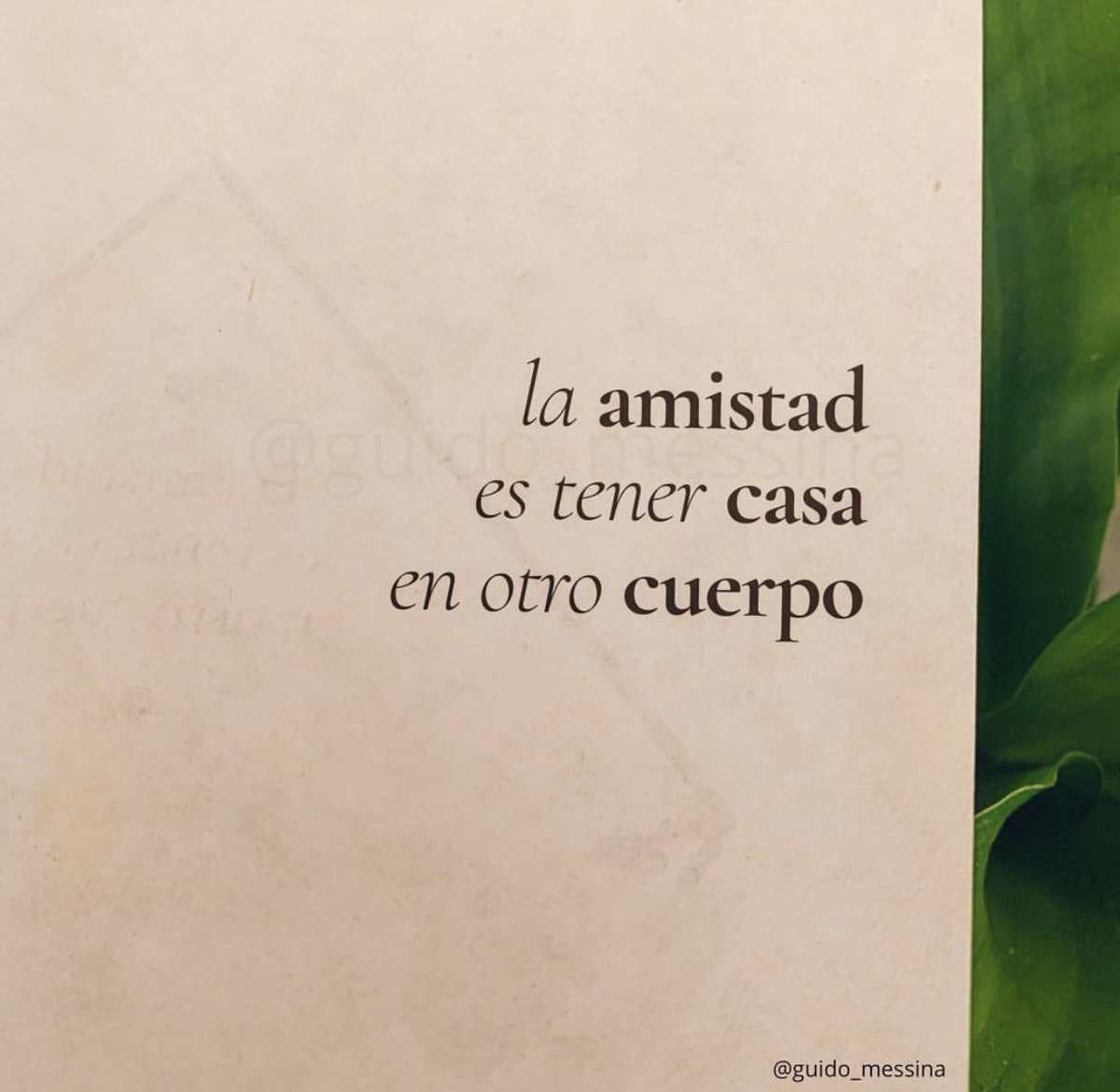 Cementedelibros's tweet photo. La amistad es tener casa en otro cuerpo
Autor: @guidomessina 
#cementeriodelibros https://t.co/DRCtECH0kR