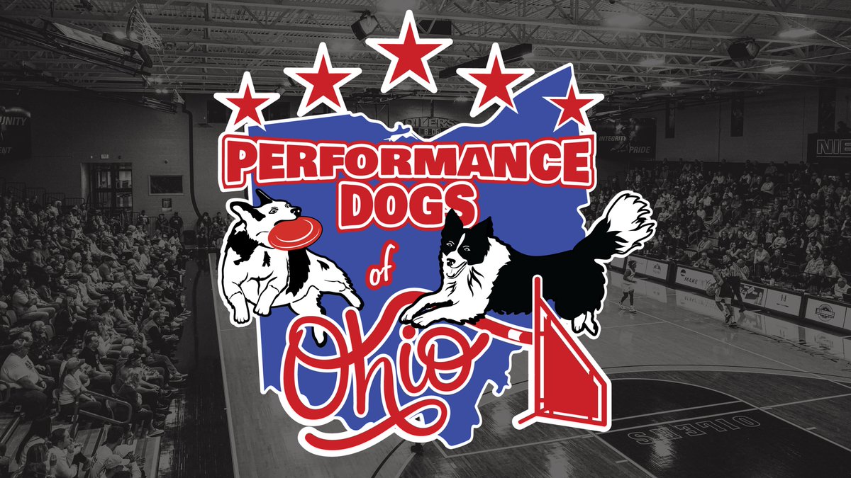 THIS SUNDAY!

We will be welcoming the Performance Dogs of Ohio to Croy Gymnasium! They will be performing at halftime of the men's basketball exhibition game against Toledo. 

Come out for a great show!
