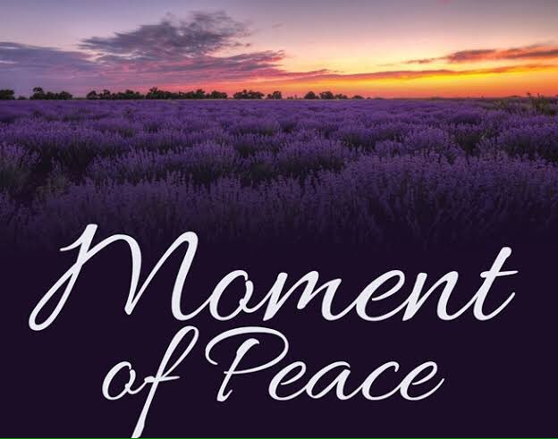 In a world without dangers
When destruction is near
You can come with us here ...

When the people are strangers
You will rest here with me
In a moment of peace ...

youtu.be/TF4Orx0765Q
#MomentOfPeace #Gregorian #AmeliaBrightman #music #beautiful