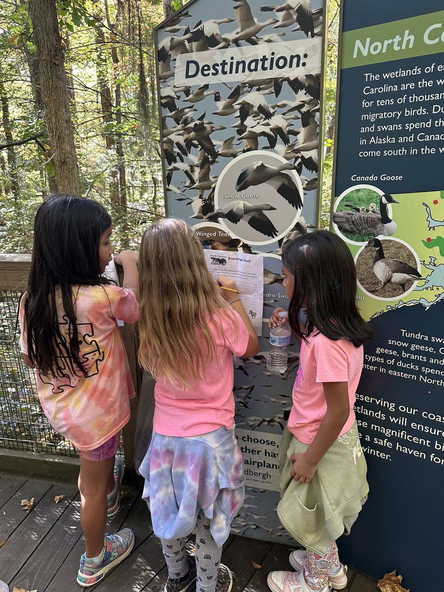 Mrs. Miller’s Class tweet media