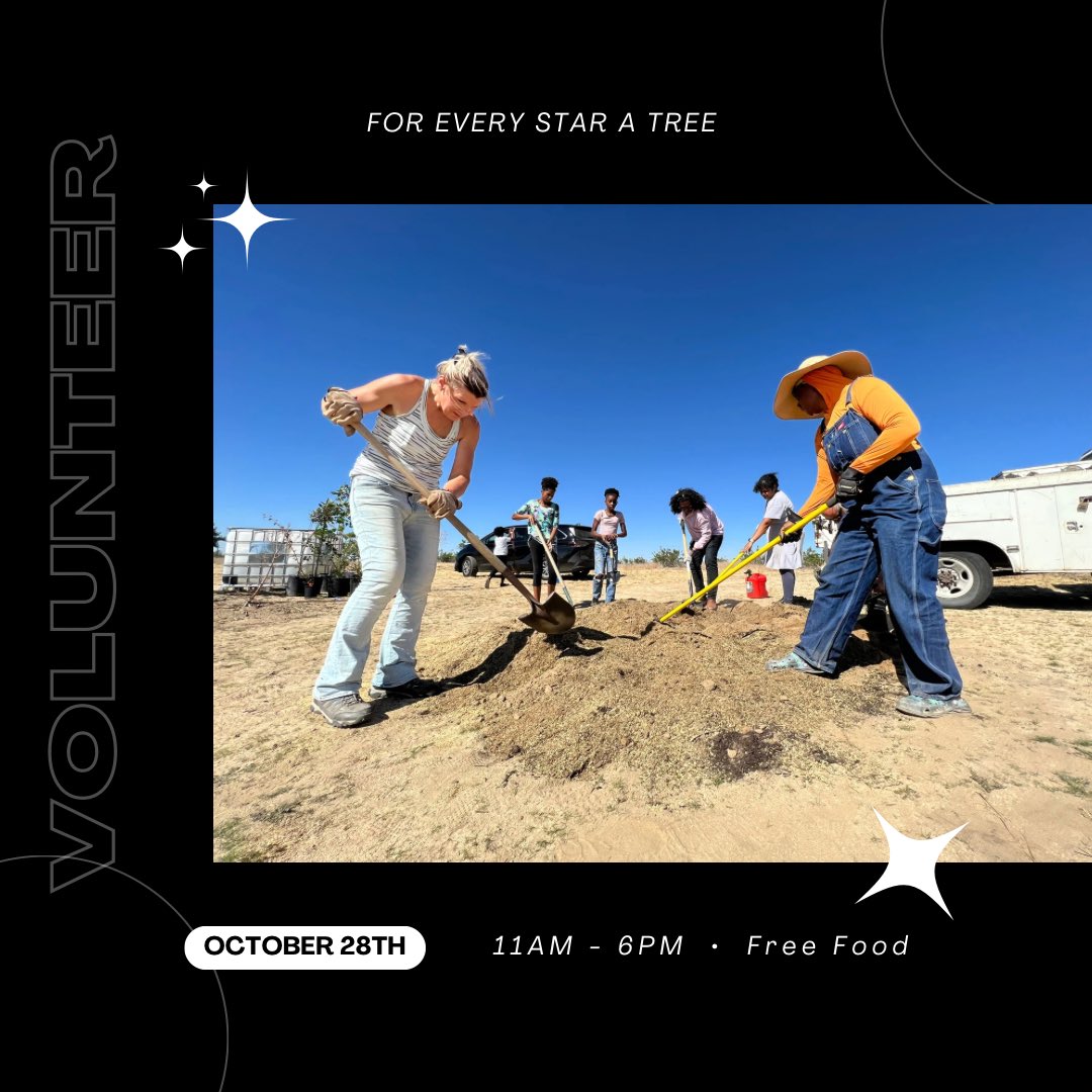 This Saturday! We’re hosting another volunteer planting day for a new pocket forest in the desert. DM for details 🌱