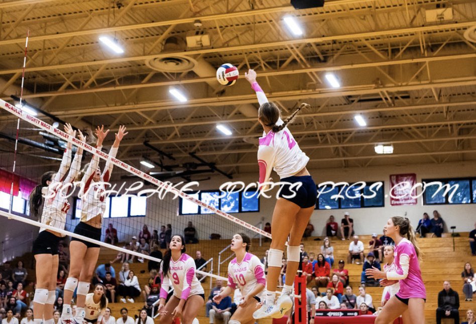 Ava Tilden tweet media