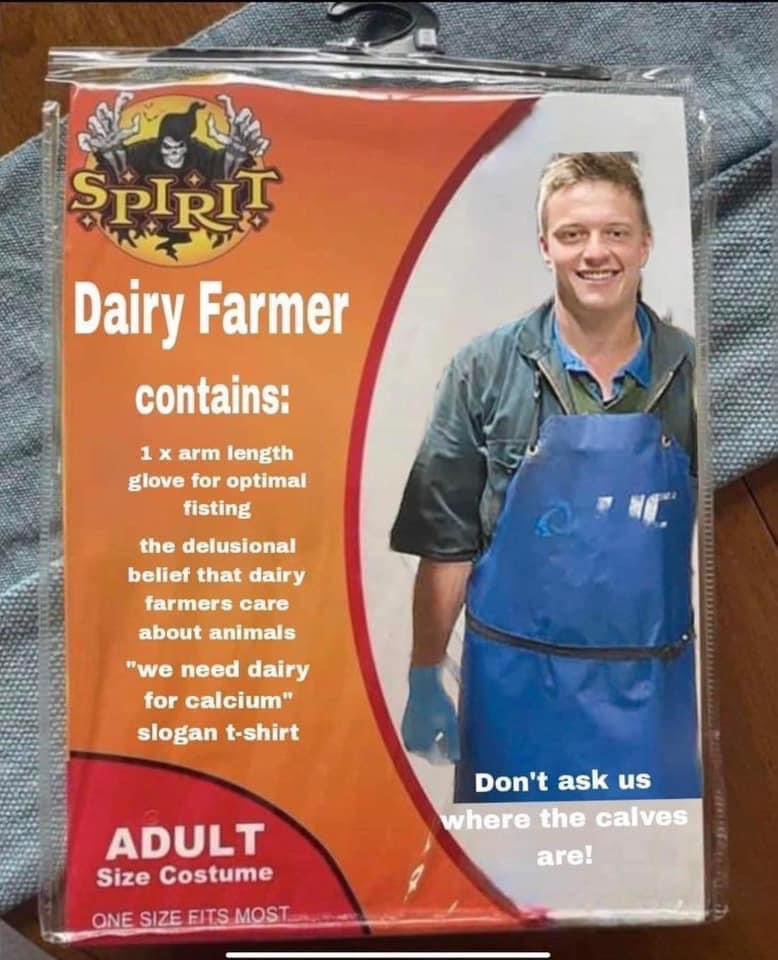 LovemyDavidsXx's tweet image. #govegan #stopabusinganimals