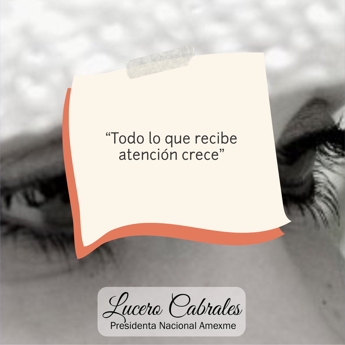 #LuceroCabrales #AMEXME #mujeresempresarias #líderesfemeninas