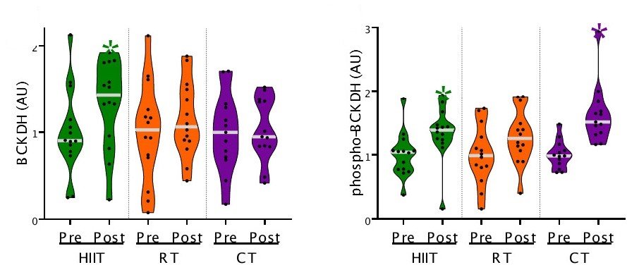 Diabetes_ADA's tweet photo. Divergent Skeletal Muscle Metabolomic Signatures of Different Exercise Training Modes Independently Predict Cardiometabolic Risk Factors.

Read Here➡️https://t.co/mZk7tryaUP

@ADA_Pubs https://t.co/HnDHOlU4VJ